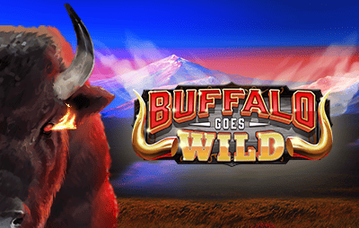 Buffalo Goes Wild